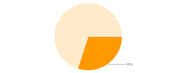 30% Pie Chart